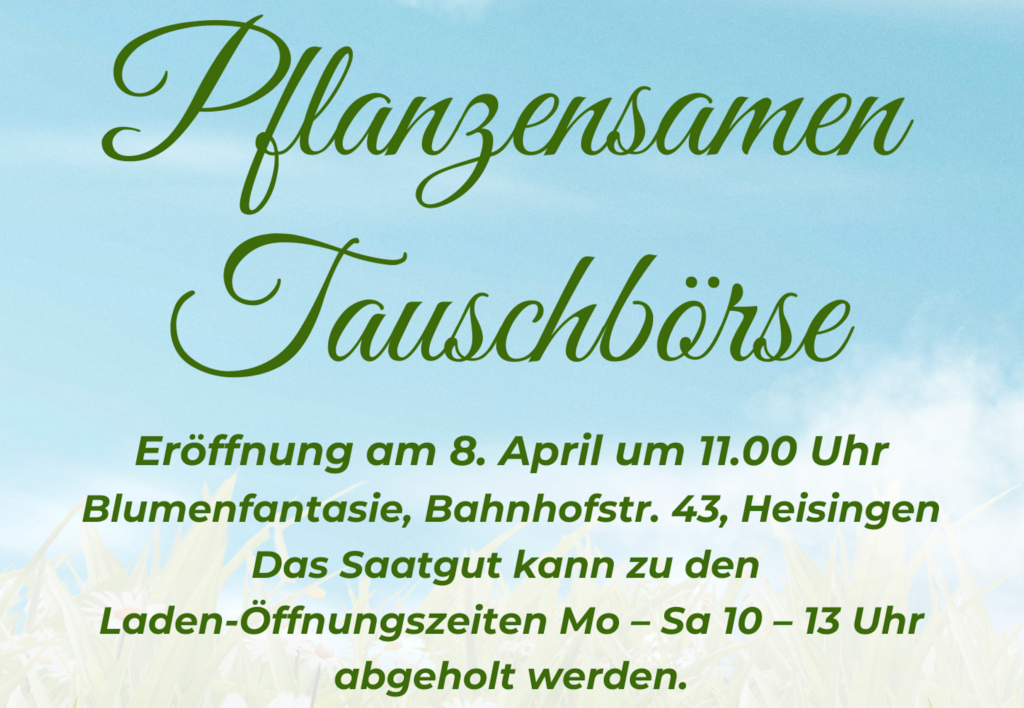 bio ackerbohnen saatgut Ackerbohnen